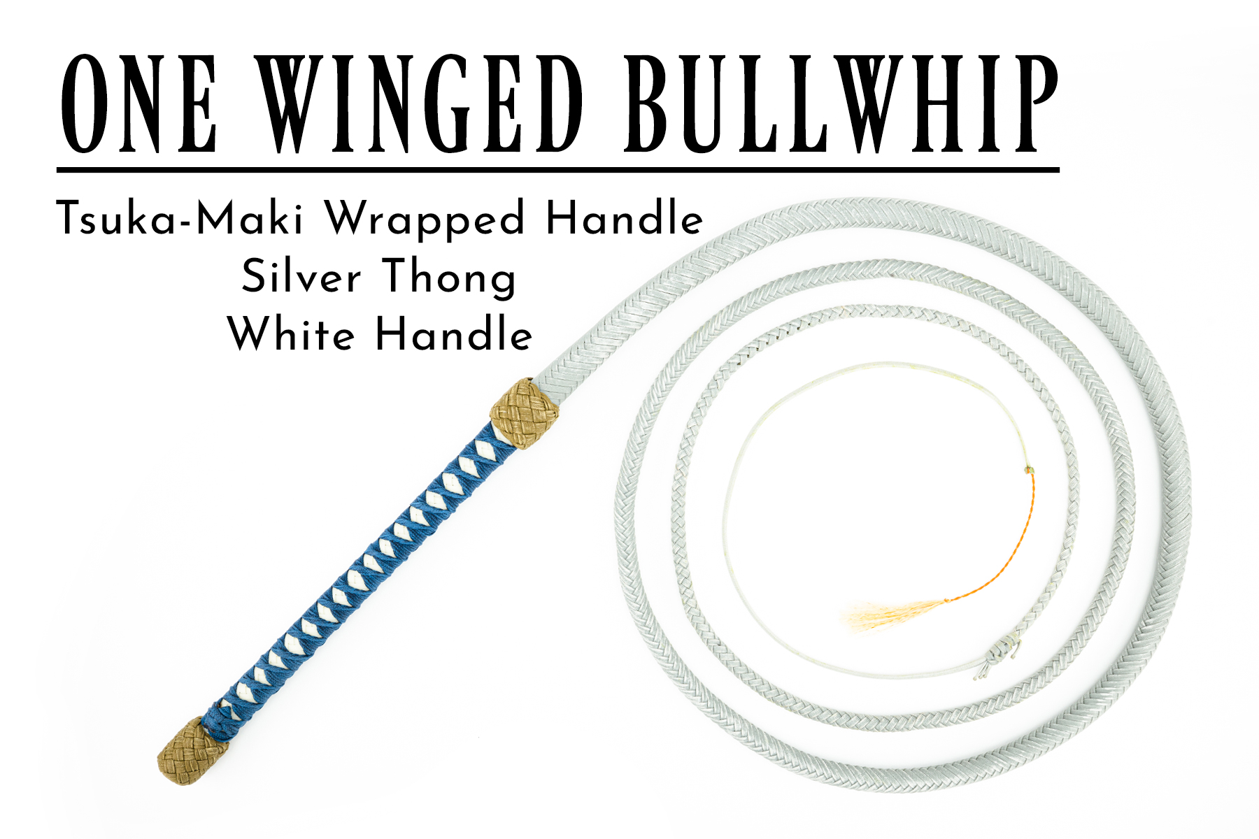 The One Winged Bullwhip